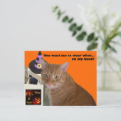 Carte Postale Halloween Kitty - Portez quoi (Debout devant)