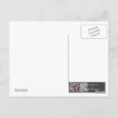 Carte postale Halloween mignonne petit vampire (Dos)