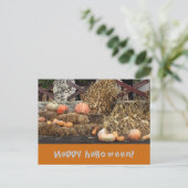 Carte Postale Halloween Orange pomkine rustique (Debout devant)