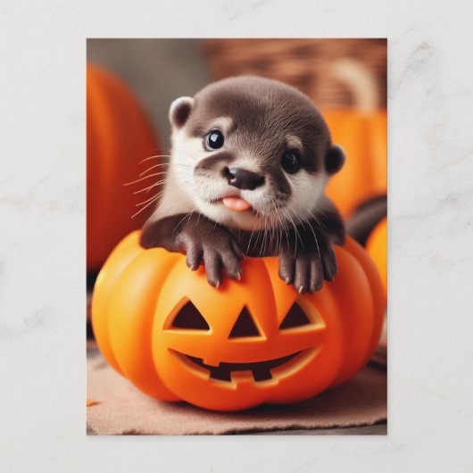 Carte Postale Halloween Otter (Devant)