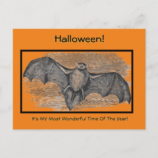 CARTE POSTALE HALLOWEEN, PEUR BAT/MON TEMPS PRÉFÉRÉ DE L'ANNÉE P (Devant)