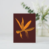 Carte Postale Halloween prier Mantis (Debout devant)