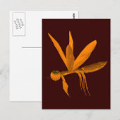 Carte Postale Halloween prier Mantis (Devant / Derrière)
