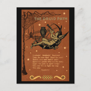 Carte Postale Halloween Samhain Fairy Owl Spider Web