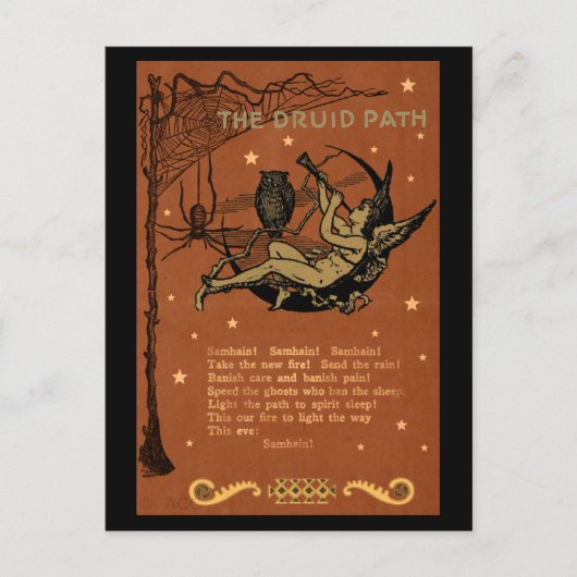 Carte Postale Halloween Samhain Fairy Owl Spider Web (Devant)