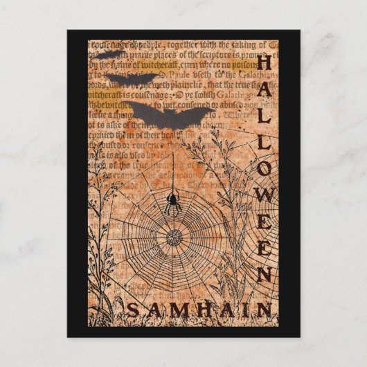Carte Postale Halloween Samhain Spider Webs (Devant)