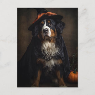 Carte Postale Halloween sorcière adorable chien de montagne bern
