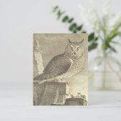 Carte postale Halloween Vintage éffrayante (Debout devant)