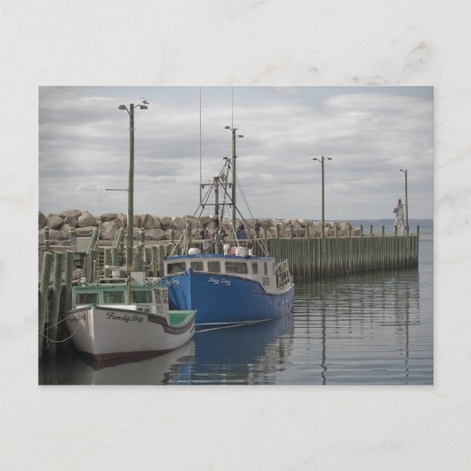 Carte postale Hall's Harbour (Devant)