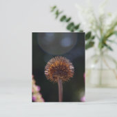 Carte Postale Halo à fleurs (Debout devant)