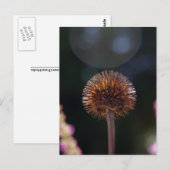 Carte Postale Halo à fleurs (Devant / Derrière)