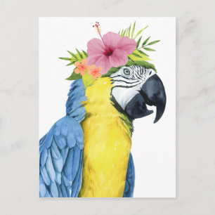 Carte Postale Halo tropical - Perroquet
