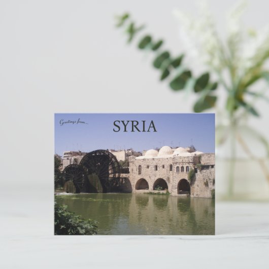 Carte Postale Hama Syrie (Debout devant)