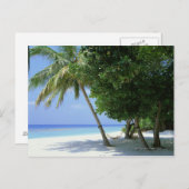 Carte Postale Hamac et palmier (Devant / Derrière)