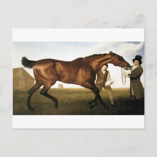 Carte Postale Hambletonian par George Stubbs (Devant)