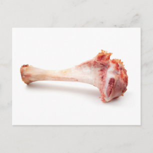 Carte Postale Hameçon