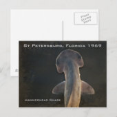 Carte postale Hammerhead Shark Florida (Devant / Derrière)