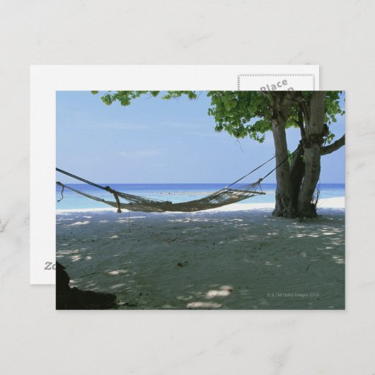 Carte Postale Hammock 2 (Devant / Derrière)