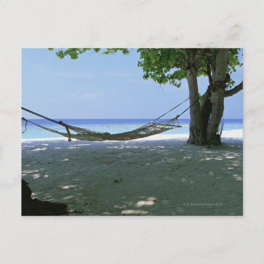 Carte Postale Hammock 2 (Devant)