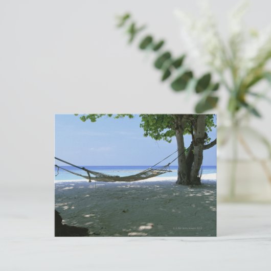 Carte Postale Hammock 2 (Debout devant)