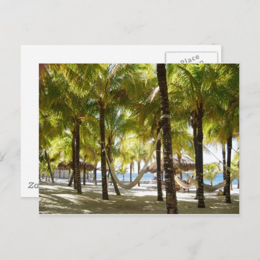 Carte Postale Hammock et Palm Trees (Devant / Derrière)