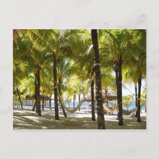 Carte Postale Hammock et Palm Trees (Devant)