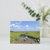 Carte postale Hammonasset (Debout devant)