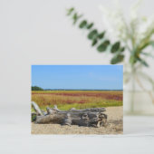 Carte postale Hammonasset (Debout devant)