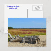 Carte postale Hammonasset (Devant / Derrière)