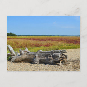 Carte postale Hammonasset