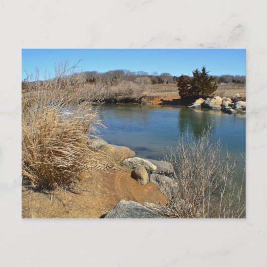 Carte postale Hammonasset (Devant)