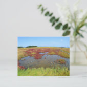 Carte postale Hammonasset (Debout devant)