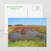 Carte postale Hammonasset (Devant / Derrière)