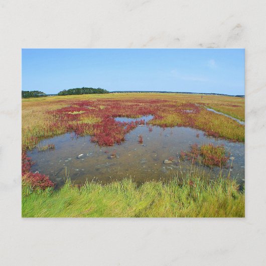 Carte postale Hammonasset (Devant)
