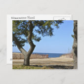 Carte postale Hammonasset Beach (Devant / Derrière)