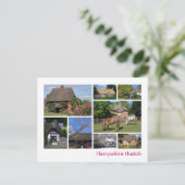 Carte Postale Hampshire thatch (Debout devant)