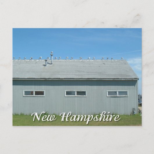 Carte Postale Hampton Beach, New Hampshire Seagull (Devant)