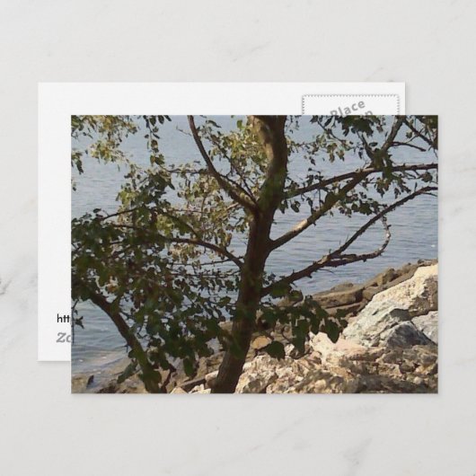 Carte Postale Hampton, vue de baie de chesapeake de VA (Devant / Derrière)