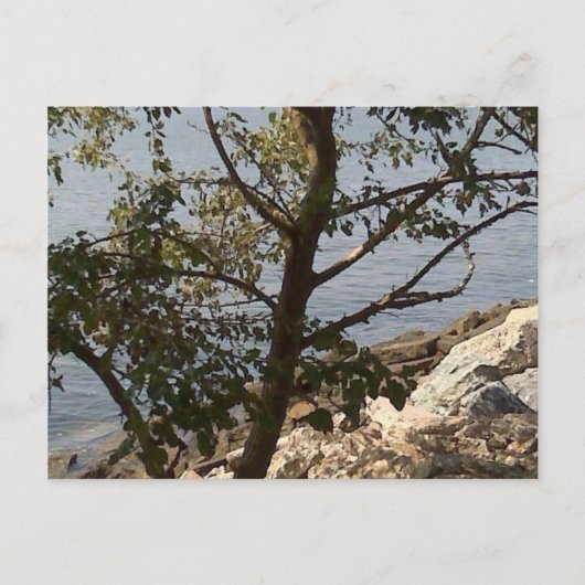 Carte Postale Hampton, vue de baie de chesapeake de VA (Devant)