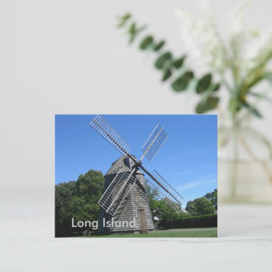 Carte Postale Hamptons, Long Island (Debout devant)