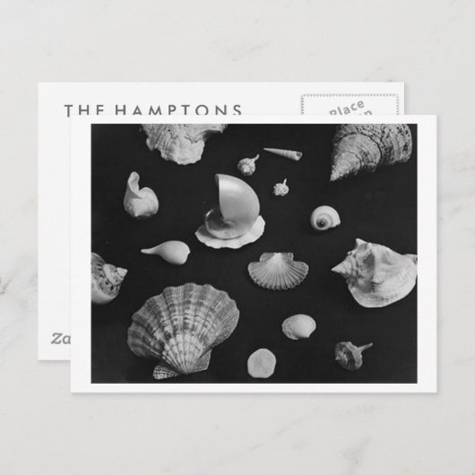 CARTE POSTALE Hamptons 'Seashells' (Devant / Derrière)