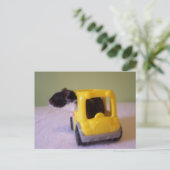 Carte postale Hamster (Debout devant)