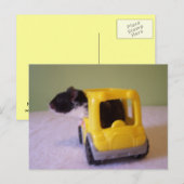 Carte postale Hamster (Devant / Derrière)