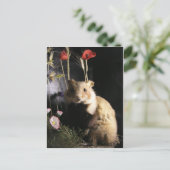 Carte Postale Hamster (Debout devant)