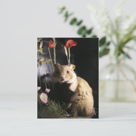 Carte Postale Hamster (Debout devant)
