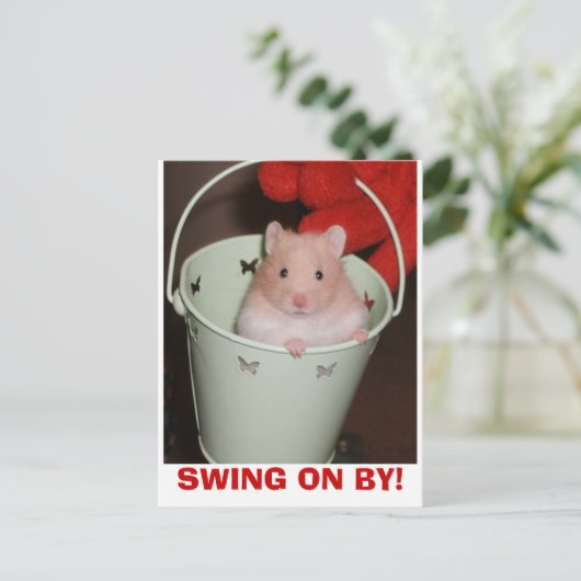 Carte Postale hamster (Debout devant)