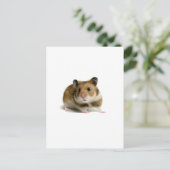 Carte Postale Hamster (Debout devant)