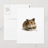 Carte Postale Hamster (Devant / Derrière)