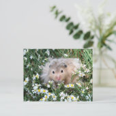 Carte Postale hamster à fleurs (Debout devant)