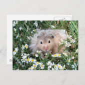 Carte Postale hamster à fleurs (Devant / Derrière)